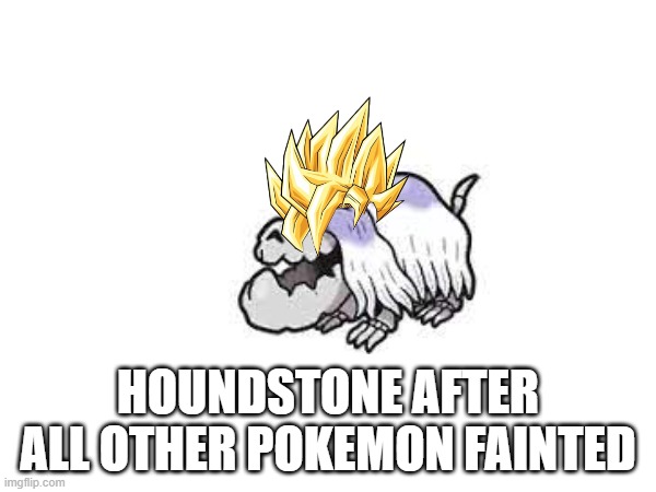 Last respects be like | HOUNDSTONE AFTER ALL OTHER POKEMON FAINTED | image tagged in houndstone,pokemon | made w/ Imgflip meme maker