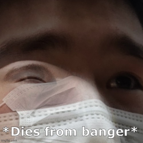 Dies from banger | *Dies from banger* | image tagged in dies from cringe | made w/ Imgflip meme maker