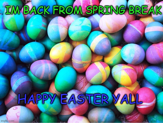 How is everyone? | IM BACK FROM SPRING BREAK; HAPPY EASTER YALL | image tagged in easter eggs | made w/ Imgflip meme maker