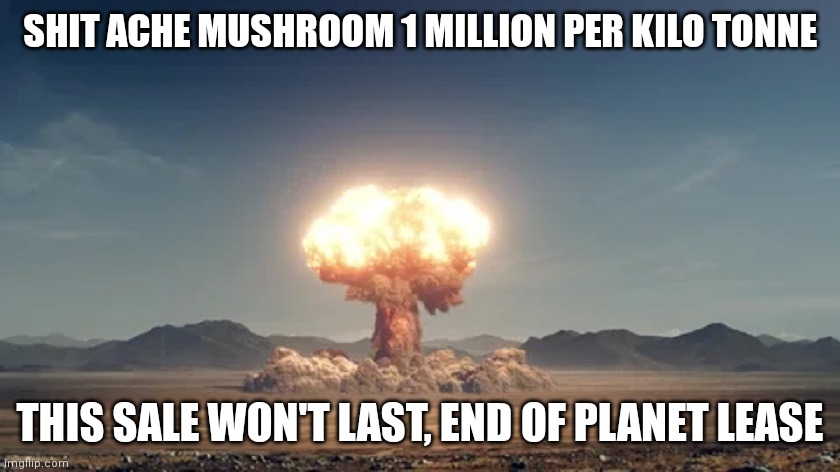 Nukes | SHIT ACHE MUSHROOM 1 MILLION PER KILO TONNE; THIS SALE WON'T LAST, END OF PLANET LEASE | image tagged in news,funny | made w/ Imgflip meme maker