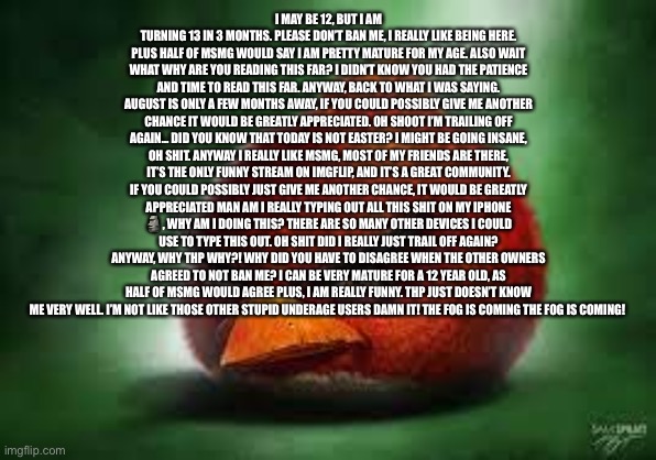 Ahhhhh | I MAY BE 12, BUT I AM TURNING 13 IN 3 MONTHS. PLEASE DON’T BAN ME, I REALLY LIKE BEING HERE. PLUS HALF OF MSMG WOULD SAY I AM PRETTY MATURE FOR MY AGE. ALSO WAIT WHAT WHY ARE YOU READING THIS FAR? I DIDN’T KNOW YOU HAD THE PATIENCE AND TIME TO READ THIS FAR. ANYWAY, BACK TO WHAT I WAS SAYING. AUGUST IS ONLY A FEW MONTHS AWAY, IF YOU COULD POSSIBLY GIVE ME ANOTHER CHANCE IT WOULD BE GREATLY APPRECIATED. OH SHOOT I’M TRAILING OFF AGAIN… DID YOU KNOW THAT TODAY IS NOT EASTER? I MIGHT BE GOING INSANE, OH SHIT. ANYWAY I REALLY LIKE MSMG, MOST OF MY FRIENDS ARE THERE, IT’S THE ONLY FUNNY STREAM ON IMGFLIP, AND IT’S A GREAT COMMUNITY. IF YOU COULD POSSIBLY JUST GIVE ME ANOTHER CHANCE, IT WOULD BE GREATLY APPRECIATED MAN AM I REALLY TYPING OUT ALL THIS SHIT ON MY IPHONE 🗿, WHY AM I DOING THIS? THERE ARE SO MANY OTHER DEVICES I COULD USE TO TYPE THIS OUT. OH SHIT DID I REALLY JUST TRAIL OFF AGAIN? ANYWAY, WHY THP WHY?! WHY DID YOU HAVE TO DISAGREE WHEN THE OTHER OWNERS AGREED TO NOT BAN ME? I CAN BE VERY MATURE FOR A 12 YEAR OLD, AS HALF OF MSMG WOULD AGREE PLUS, I AM REALLY FUNNY. THP JUST DOESN’T KNOW ME VERY WELL. I’M NOT LIKE THOSE OTHER STUPID UNDERAGE USERS DAMN IT! THE FOG IS COMING THE FOG IS COMING! | image tagged in realistic red angry birds | made w/ Imgflip meme maker