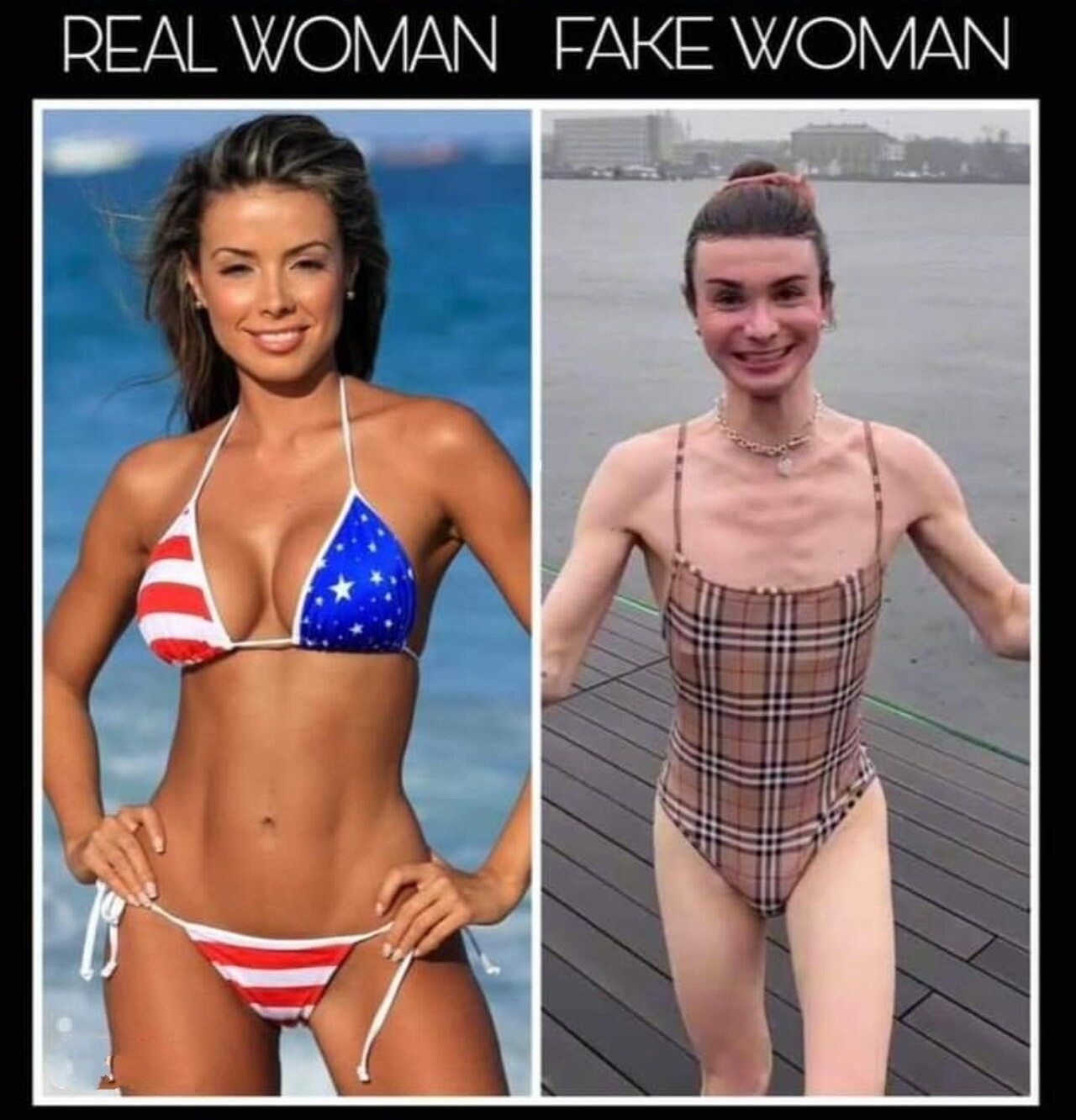 If you were born with a dick, you ain't a chick. | image tagged in dick jokes,real women,tired of hearing about transgenders,transheuser busch,babe vs skank,conservative women vs liberal skanks | made w/ Imgflip meme maker