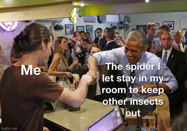 image tagged in memes | made w/ Imgflip meme maker