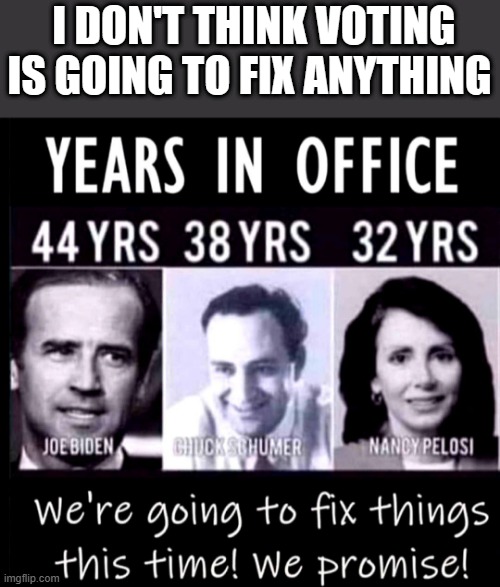 AND thats a fact | I DON'T THINK VOTING IS GOING TO FIX ANYTHING | image tagged in democrats,nwo | made w/ Imgflip meme maker