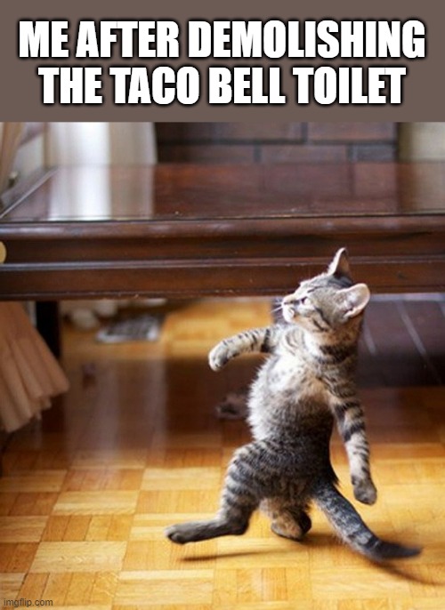 The toilet is now a place of no return... | ME AFTER DEMOLISHING THE TACO BELL TOILET | image tagged in cat walking like a boss,taco bell,lol,poop,fart,it ain't much but it's honest work | made w/ Imgflip meme maker