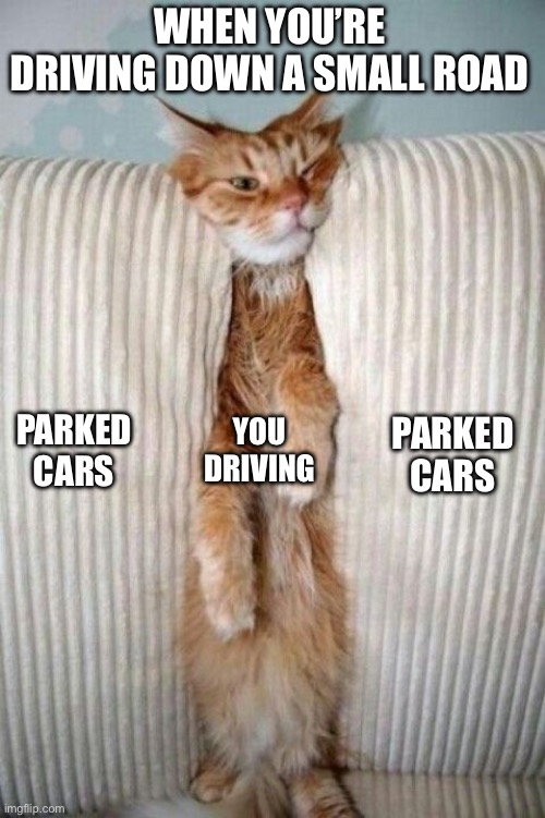 Some Roads Are Hard To Drive On | WHEN YOU’RE DRIVING DOWN A SMALL ROAD; PARKED CARS; YOU DRIVING; PARKED CARS | image tagged in standing room only,cars,driving,tight space,parked cars | made w/ Imgflip meme maker