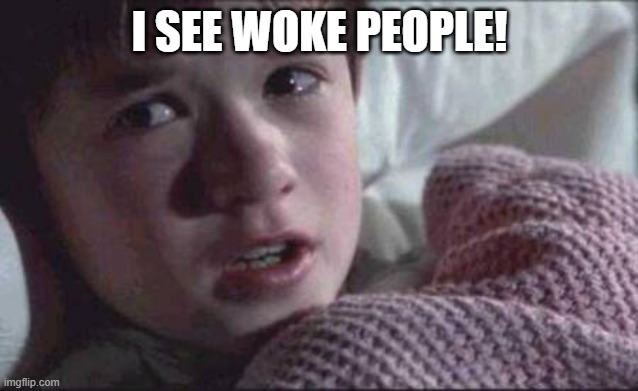 There they are! | I SEE WOKE PEOPLE! | image tagged in memes,i see dead people,woke,stupid people,people,dumb people | made w/ Imgflip meme maker