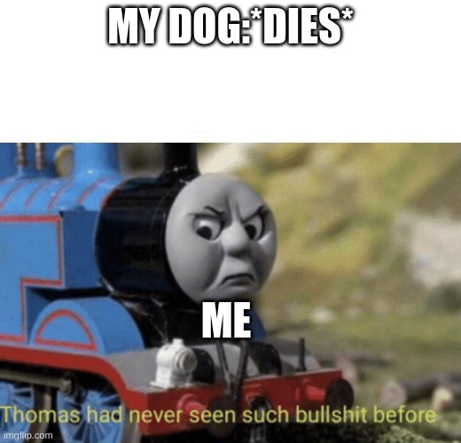 Thomas had never seen such bullshit before | MY DOG:*DIES*; ME | image tagged in thomas had never seen such bullshit before | made w/ Imgflip meme maker