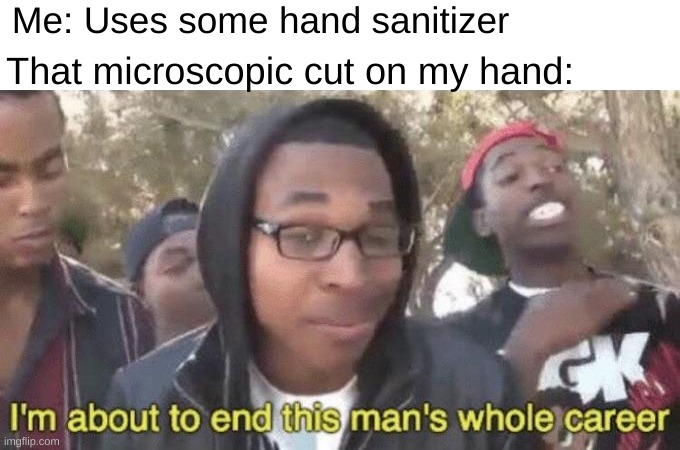 Why tho | Me: Uses some hand sanitizer; That microscopic cut on my hand: | image tagged in i m about to end this man s whole career,relatable,memes,funny,bruh,why | made w/ Imgflip meme maker