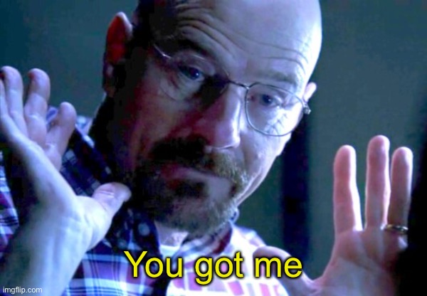 Walter you got me | You got me | image tagged in walter you got me | made w/ Imgflip meme maker