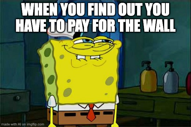 oh fck i gotta pay for it?? | WHEN YOU FIND OUT YOU HAVE TO PAY FOR THE WALL | image tagged in memes,don't you squidward,ai meme | made w/ Imgflip meme maker