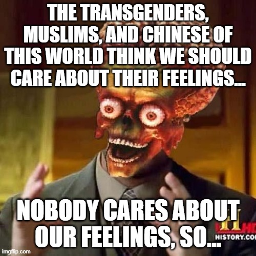 Who opresses the opressors? | THE TRANSGENDERS, MUSLIMS, AND CHINESE OF THIS WORLD THINK WE SHOULD CARE ABOUT THEIR FEELINGS... NOBODY CARES ABOUT OUR FEELINGS, SO... | image tagged in aliens 6,transformers,muslims,chinese,hurt feelings,nobody cares | made w/ Imgflip meme maker