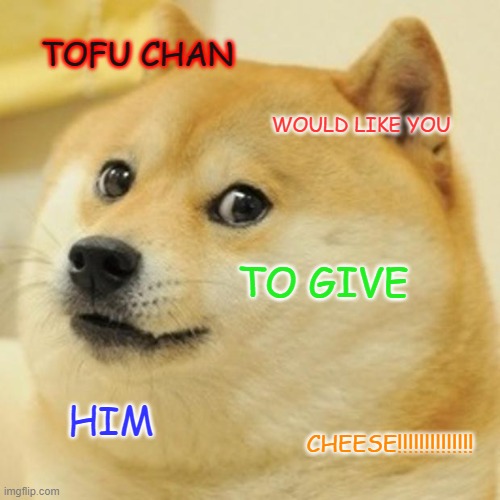 Doge | TOFU CHAN; WOULD LIKE YOU; TO GIVE; HIM; CHEESE!!!!!!!!!!!!!! | image tagged in memes,doge | made w/ Imgflip meme maker