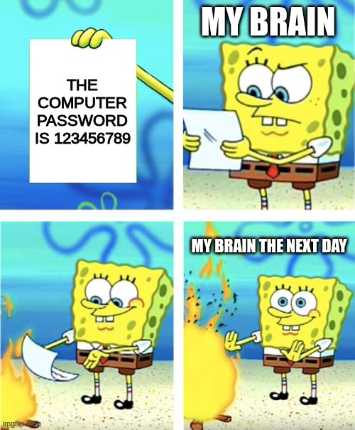 Oops i forgot the password | MY BRAIN; THE COMPUTER PASSWORD IS 123456789; MY BRAIN THE NEXT DAY | image tagged in spongebob burning paper | made w/ Imgflip meme maker
