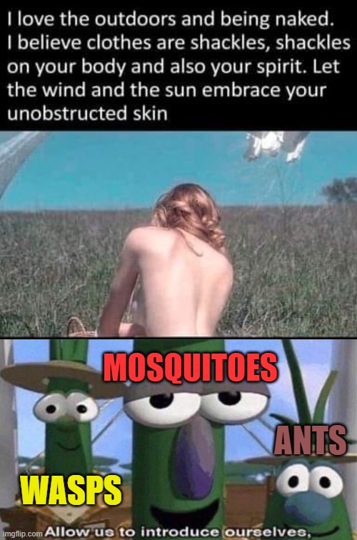 MOSQUITOES; ANTS; WASPS | image tagged in veggietales 'allow us to introduce ourselfs' | made w/ Imgflip meme maker