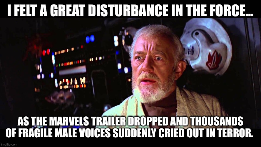 My reaction to the online Marvels reaction | I FELT A GREAT DISTURBANCE IN THE FORCE…; AS THE MARVELS TRAILER DROPPED AND THOUSANDS OF FRAGILE MALE VOICES SUDDENLY CRIED OUT IN TERROR. | image tagged in i felt a great disturbance in the force,captain marvel,marvel,misogyny,toxic masculinity,brie larson | made w/ Imgflip meme maker
