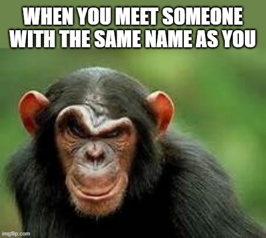 grrrrrrrrrrrrrrrrrrrrrrrrrrrrr | WHEN YOU MEET SOMEONE WITH THE SAME NAME AS YOU | image tagged in chimp scowl,angry,why,names,you have been eternally cursed for reading the tags | made w/ Imgflip meme maker