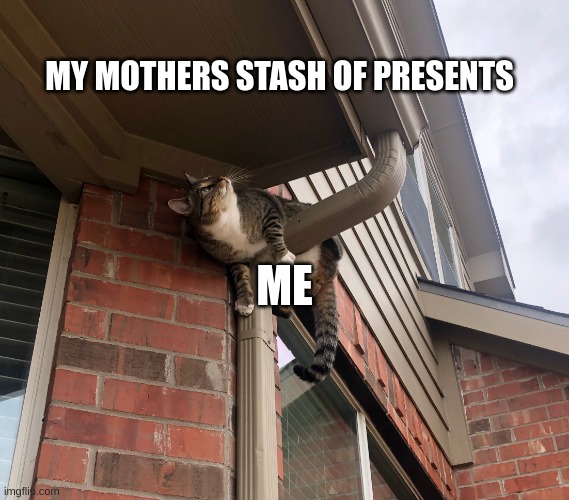 its almost my b-day | MY MOTHERS STASH OF PRESENTS; ME | image tagged in cat looking up,presents,gifts,cat | made w/ Imgflip meme maker
