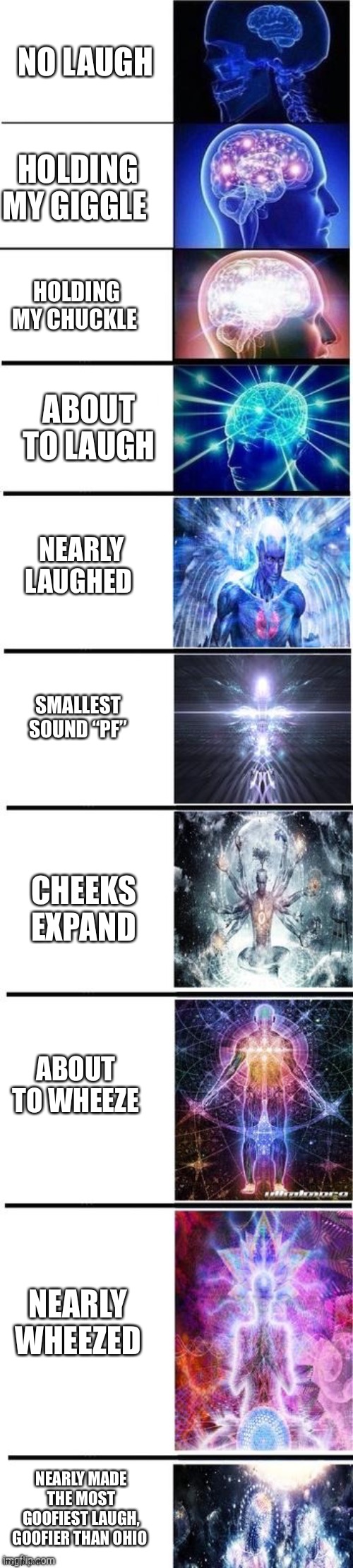 Expanding brain 10 panel | NO LAUGH HOLDING MY GIGGLE HOLDING MY CHUCKLE ABOUT TO LAUGH NEARLY LAUGHED SMALLEST SOUND “PF” CHEEKS EXPAND ABOUT TO WHEEZE NEARLY WHEEZED | image tagged in expanding brain 10 panel | made w/ Imgflip meme maker