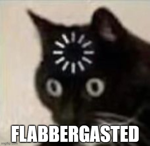 ASTOUNDED | FLABBERGASTED | image tagged in frazzled | made w/ Imgflip meme maker