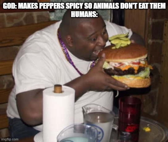 peper | GOD: MAKES PEPPERS SPICY SO ANIMALS DON'T EAT THEM
HUMANS: | image tagged in fat guy eating burger | made w/ Imgflip meme maker