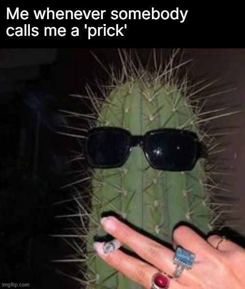 Me whenever somebody calls me a 'prick' | made w/ Imgflip meme maker