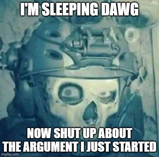 Riley simon eyebrow | I'M SLEEPING DAWG; NOW SHUT UP ABOUT THE ARGUMENT I JUST STARTED | image tagged in riley simon eyebrow | made w/ Imgflip meme maker