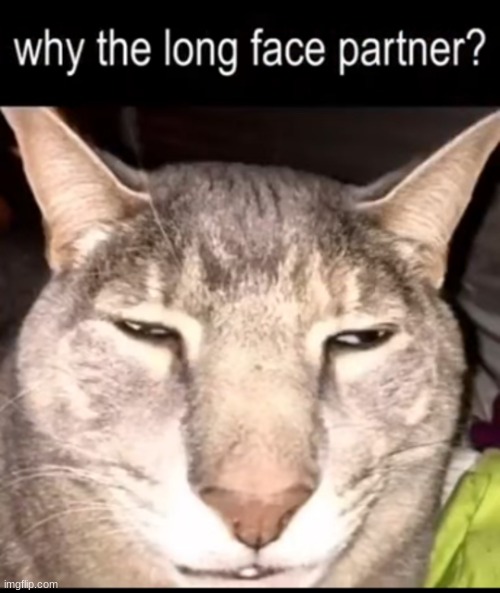 Why the long face | image tagged in why the long face | made w/ Imgflip meme maker