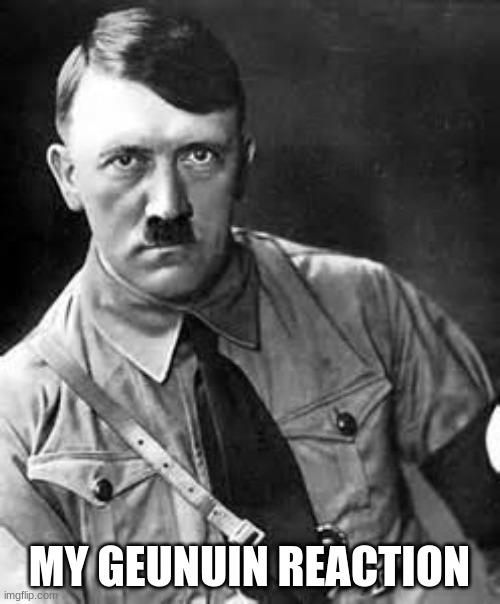 Adolf Hitler | MY GEUNUIN REACTION | image tagged in adolf hitler | made w/ Imgflip meme maker
