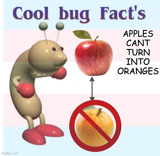 Im just stating a simple fact okay, imply what ever you wish | APPLES CANT TURN INTO ORANGES | image tagged in fun,memes,lgbtq,lgbt,troll face | made w/ Imgflip meme maker