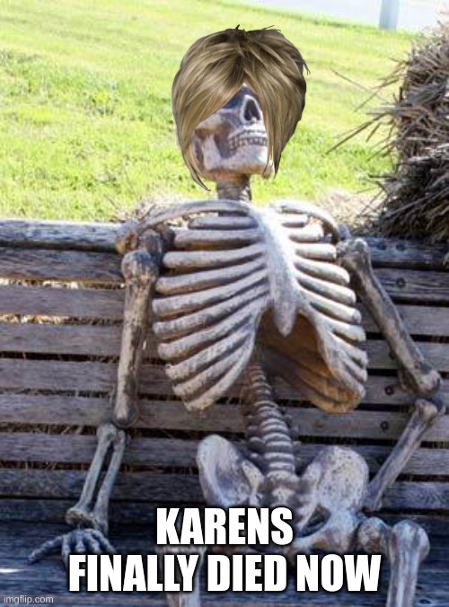 true | KARENS FINALLY DIED NOW | image tagged in memes,waiting skeleton | made w/ Imgflip meme maker