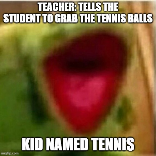R.I.P kid named tennis | TEACHER: TELLS THE STUDENT TO GRAB THE TENNIS BALLS; KID NAMED TENNIS | image tagged in ahhhhhhhhhhhhh | made w/ Imgflip meme maker