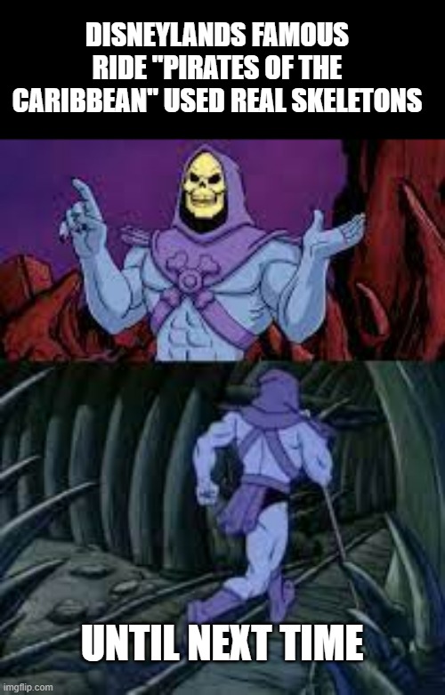 crazy but true | DISNEYLANDS FAMOUS RIDE "PIRATES OF THE CARIBBEAN" USED REAL SKELETONS; UNTIL NEXT TIME | image tagged in skeletor until next time,skeletor disturbing facts,disturbing facts skeletor | made w/ Imgflip meme maker