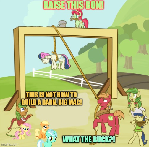 Raise this Bon | THIS IS NOT HOW TO BUILD A BARN, BIG MAC! RAISE THIS BON! WHAT THE BUCK?! | image tagged in but why why would you do that,mlp,bon bon,lyra,applejack | made w/ Imgflip meme maker