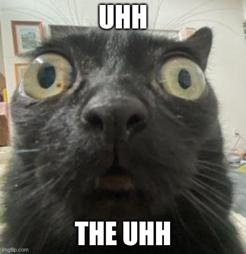 jinx thy beloved | UHH; THE UHH | made w/ Imgflip meme maker