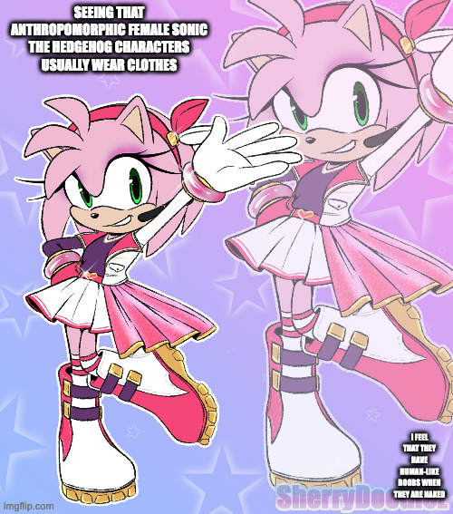 Idol Amy Rose | SEEING THAT ANTHROPOMORPHIC FEMALE SONIC THE HEDGEHOG CHARACTERS USUALLY WEAR CLOTHES; I FEEL THAT THEY HAVE HUMAN-LIKE BOOBS WHEN THEY ARE NAKED | image tagged in amy rose,sonic the hedgehog,memes | made w/ Imgflip meme maker