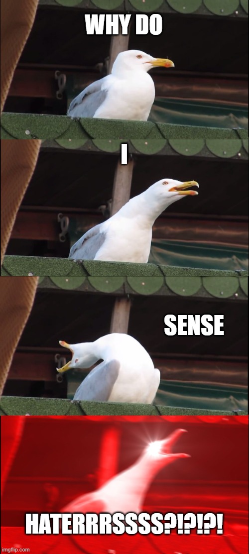 Been seein a little bit of hate on my profile lately. | WHY DO; I; SENSE; HATERRRSSSS?!?!?! | image tagged in memes,inhaling seagull | made w/ Imgflip meme maker