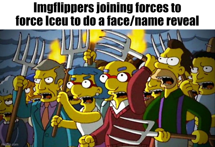 Meme #626 | Imgflippers joining forces to force Iceu to do a face/name reveal | image tagged in iceu,face reveal,names,never happening,memes,imgflip users | made w/ Imgflip meme maker