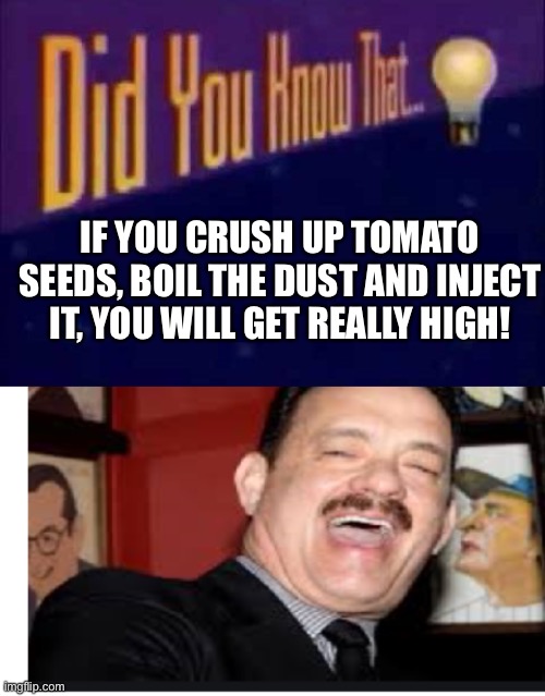 IF YOU CRUSH UP TOMATO SEEDS, BOIL THE DUST AND INJECT IT, YOU WILL GET REALLY HIGH! | image tagged in did you know that,liz crokin right wing nut job | made w/ Imgflip meme maker