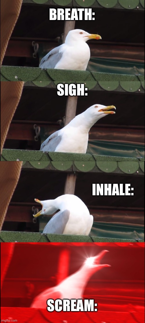 Inhaling Seagull | BREATH:; SIGH:; INHALE:; SCREAM: | image tagged in memes,inhaling seagull | made w/ Imgflip meme maker