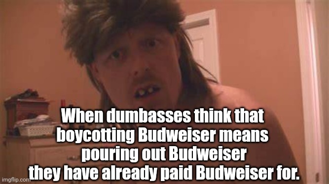 Boycotting Budweiser | When dumbasses think that 
boycotting Budweiser means 
pouring out Budweiser
they have already paid Budweiser for. | image tagged in boycott,beer,rednecks | made w/ Imgflip meme maker