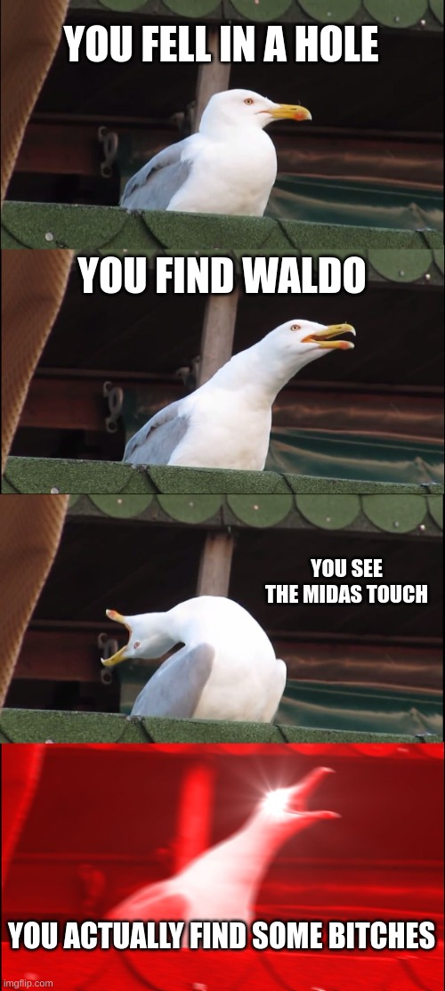 Inhaling Seagull | YOU FELL IN A HOLE; YOU FIND WALDO; YOU SEE THE MIDAS TOUCH; YOU ACTUALLY FIND SOME BITCHES | image tagged in memes,inhaling seagull | made w/ Imgflip meme maker
