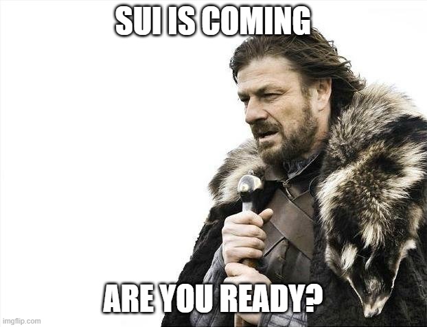 SUI IS COMING | SUI IS COMING; ARE YOU READY? | image tagged in memes,brace yourselves x is coming | made w/ Imgflip meme maker