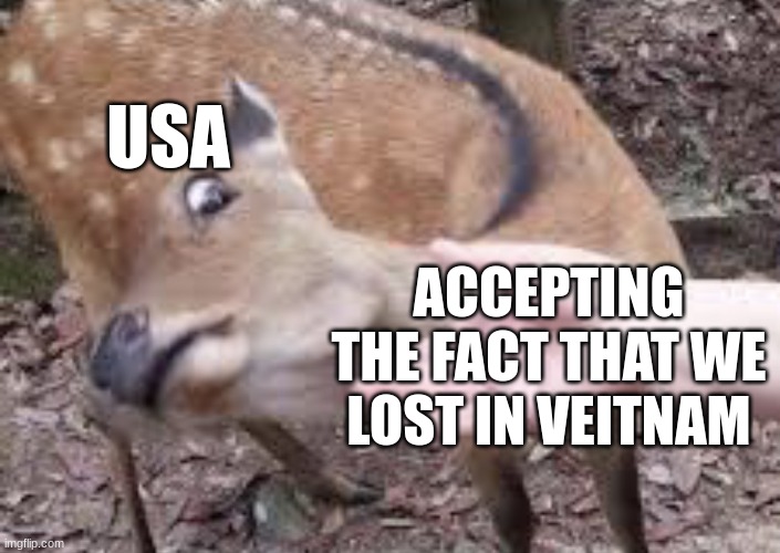 Nope Deer | USA; ACCEPTING THE FACT THAT WE LOST IN VEITNAM | image tagged in nope deer | made w/ Imgflip meme maker