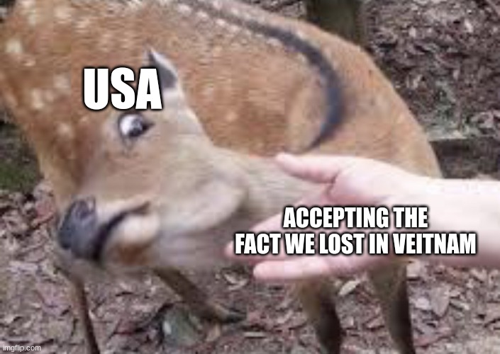 Nope Deer | USA; ACCEPTING THE FACT WE LOST IN VEITNAM | image tagged in nope deer | made w/ Imgflip meme maker