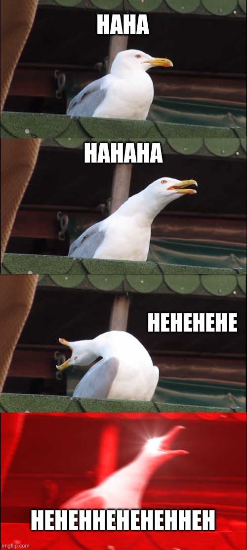 Inhaling Seagull | HAHA; HAHAHA; HEHEHEHE; HEHEHHEHEHEHHEH | image tagged in memes,inhaling seagull | made w/ Imgflip meme maker