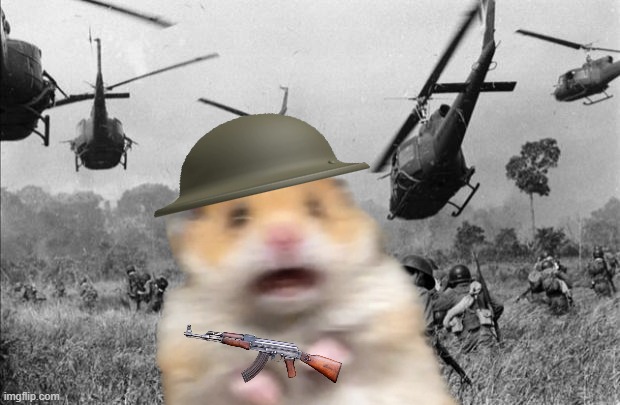 vietnam 1968 | image tagged in history memes,fun | made w/ Imgflip meme maker