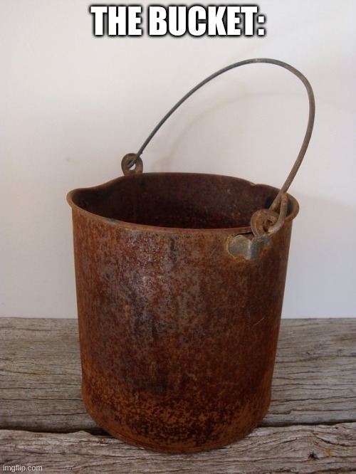 Rust bucket | THE BUCKET: | image tagged in rust bucket | made w/ Imgflip meme maker