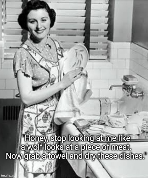Grab a Towel | "Honey, stop looking at me like a wolf looks at a piece of meat. Now grab a towel and dry these dishes." | image tagged in washing dishes,housewife,home,dishes,dishwasher | made w/ Imgflip meme maker