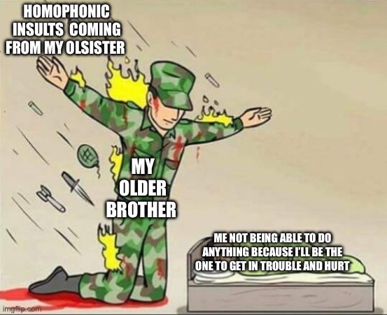 My older brother is always accepting of me | HOMOPHONIC INSULTS  COMING FROM MY OLDER SISTER; MY OLDER BROTHER; ME NOT BEING ABLE TO DO ANYTHING BECAUSE I’LL BE THE ONE TO GET IN TROUBLE AND HURT | image tagged in soldier protecting sleeping child,best brother,caring sibling | made w/ Imgflip meme maker
